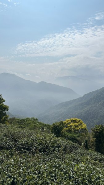 雲嘉連峰/青年嶺/水社寮2750441