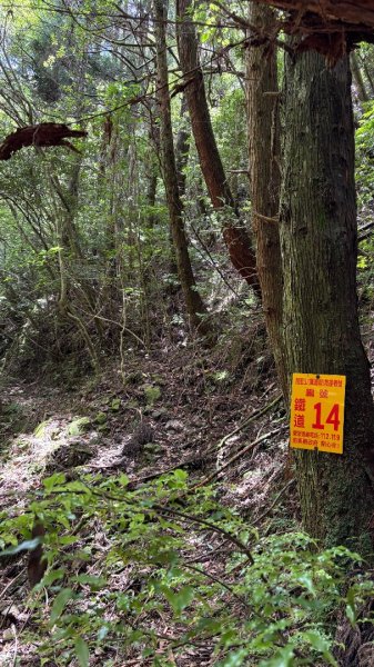 林鐵遺跡2878205