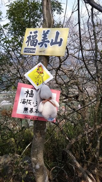 230403-旗靈縱走O繞一圈13k。美美兔熱到懷疑人生，完全不想拍照。2117026