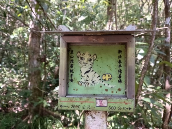 雙溪區北勢溪古道+畚箕湖古道+三層巷古道+北勢溪古道P字走2909468