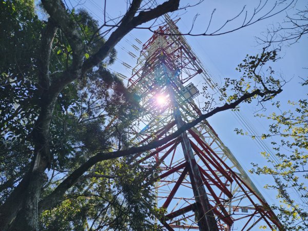 小百岳No.19⛰福德坑山(鳶山)2739712