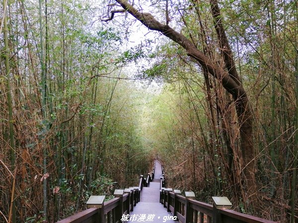 適合賞景健身親子型步道~鳳凰山觀音山步道1244172