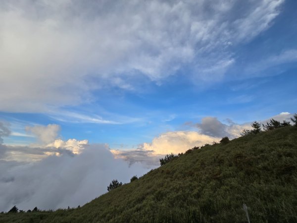 志佳陽大山（回程走高繞環山獵人登山步道）2542211