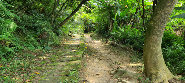 土城山中湖1067110