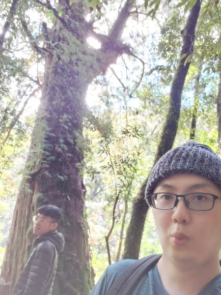 中級山-司馬庫斯2888973