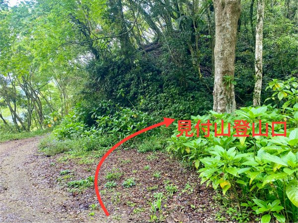 日據六龜警備道南段兩天一夜逍遙遊2763977