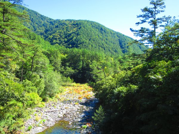 如童話般的森林步道-武陵桃山瀑布步道1190727