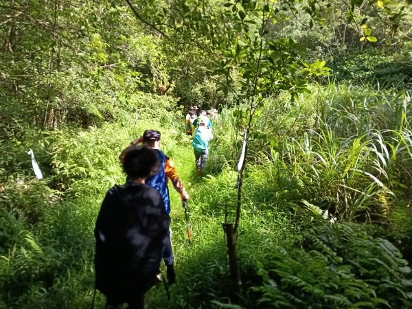 雙溪區大湖尾古道+灣潭古道O型2874797