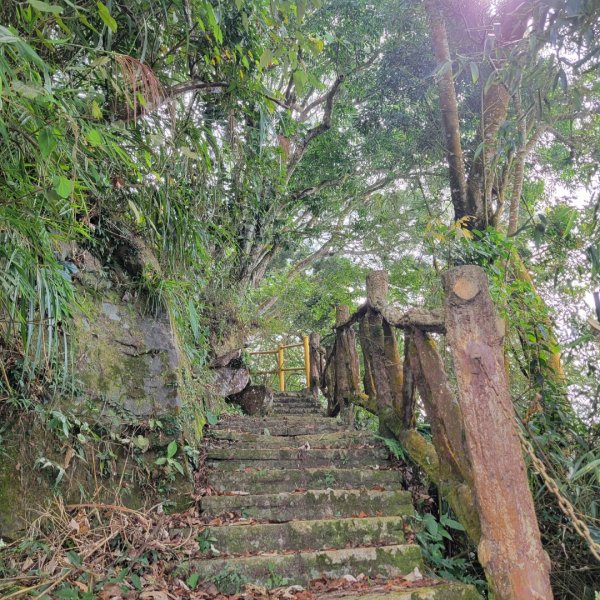 三寶山登山步道1893699