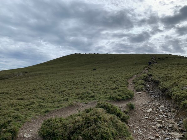 20220625台東海端向陽山、向陽山北峰、三叉山、嘉明湖1745546