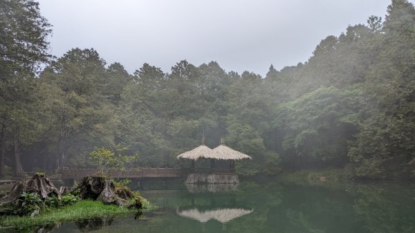 阿里山森林遊樂區2165557