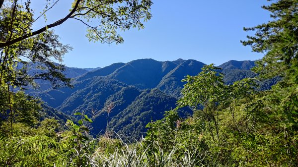 大霸群峰登山步道(大鹿林道線)2911390