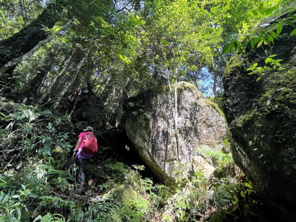 鵝公髻山-第一登山口來回-202408112573492