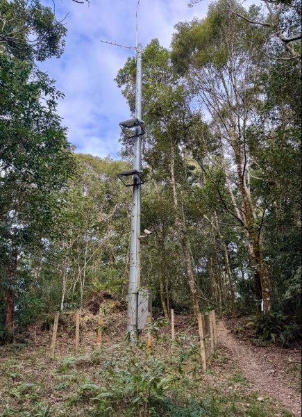 六龜警備道茂林段：網子山-網子山東北峰-鳴海下山-鳴海山(小百岳#71)2981513
