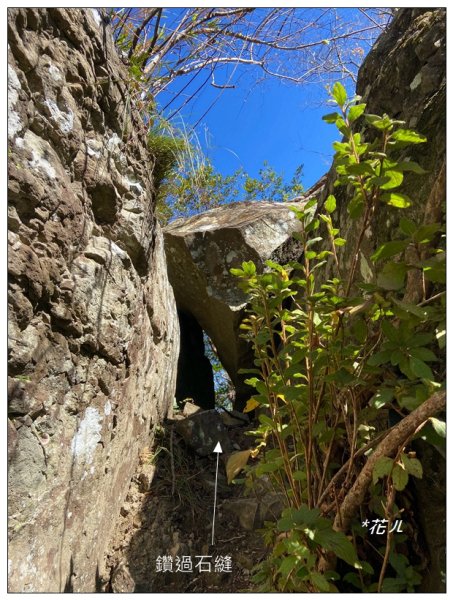那羅山、煤源山、凌空廊道連走2684227