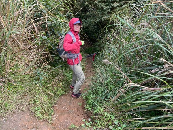 小觀音山群峰【當登山遇到惰性來襲時…】2686408