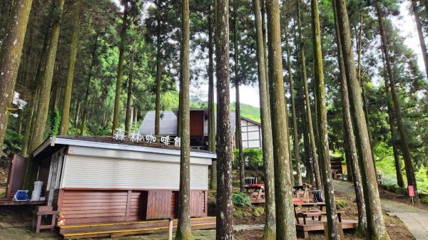 【中級山】有一種美，令人不想回家，新竹鵝公髻山2744666