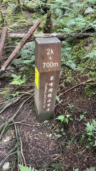 太平山翠峰湖環山步道2551626