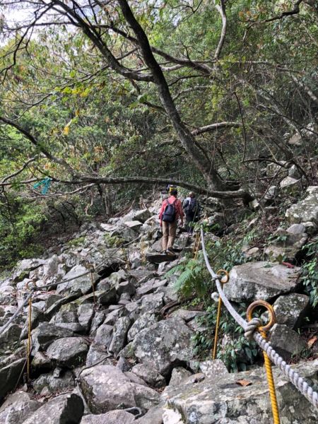 谷關七雄-坡津加山285299