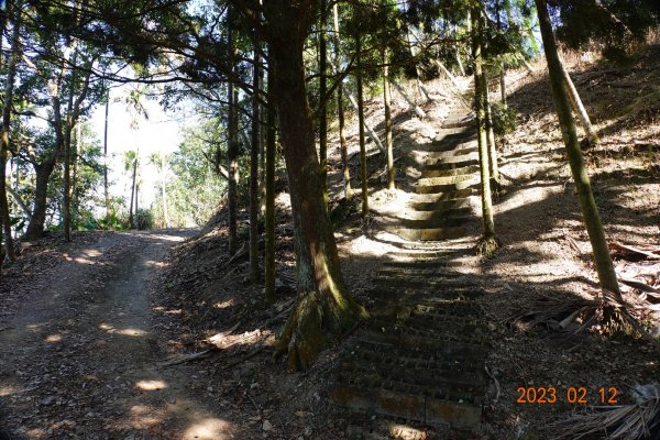 嘉義 竹崎 大坑山2032209