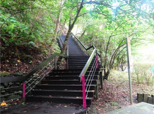 【桃園】湳仔溝&百吉林蔭步道