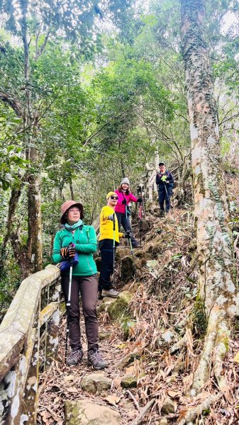 🌈1/18(六)小百岳雙收~大橫屏山+九份二山順遊賞梅🌈FB：熊熊趴爬走 歡迎加入2692553