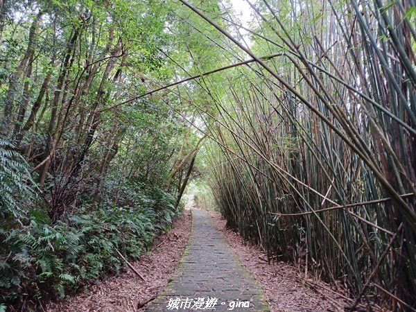 【台北。內湖】山頂好眺望。 小百岳集起來。 編號8小百岳大崙頭尾山親山步道1590474