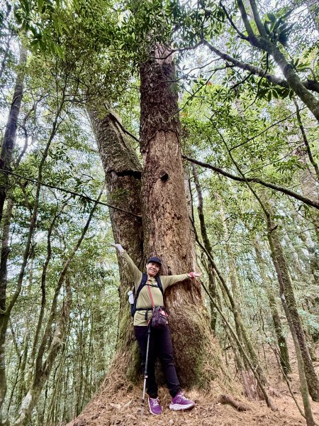 撒落一路楓紅-稍來山    2026.01.012976382