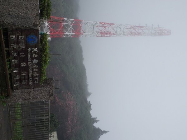 小油坑～七星山～冷水坑～擎天崗1940746