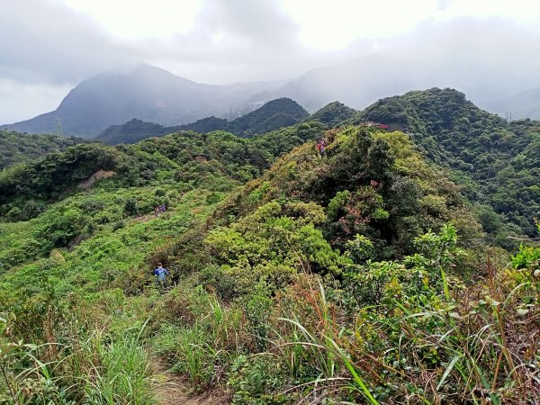 【瑞芳四秀】白象山(又名弘明山)→秀崎山→瑞芳山→龍潭山1651435