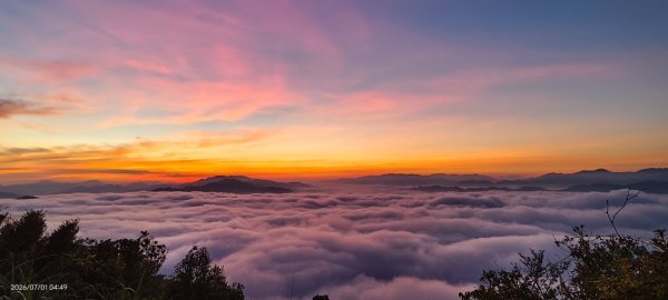 #石碇後山 #霞光 #日出 #雲海 #火燒雲 #魔目裳蛾 7/1&33080446