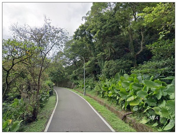 中坑山．石灰坑山．望湖山 連走2812979