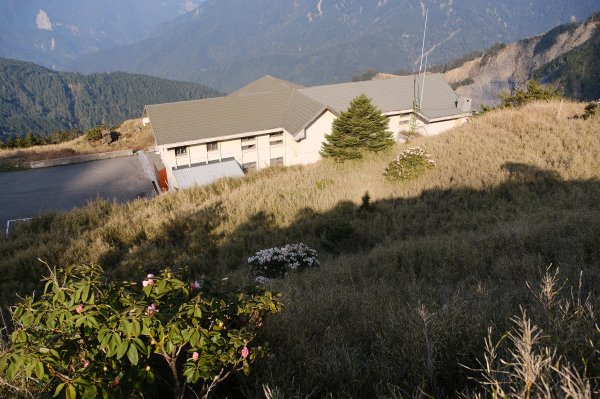 合歡山東峰3038998
