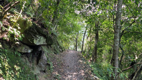 福山部落,內洞森遊區2552416
