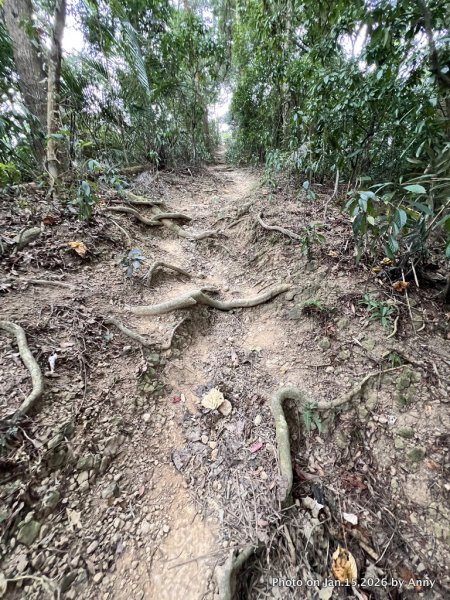 【新竹＋苗栗】猿獅縱走2989065