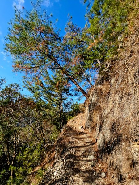 東卯山-谷關七雄(老五)2991583