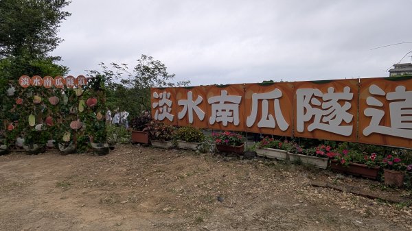 115.05.03小牛埔步道+南瓜隧道之旅3052227