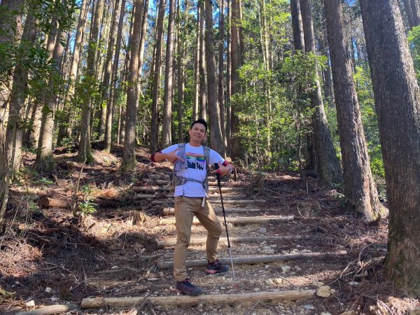 長壽山-醜崠山-鳶嘴山【既優雅又狂野的另類選擇】2673986