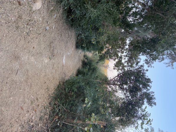 金門五虎山步道2692338