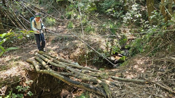 20250322遠望坑古道-龜媽坑古道中線-虎子山古道2743264