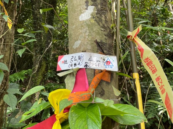 【瑞芳四秀】白象山(又名弘明山)→秀崎山→瑞芳山→龍潭山1651507