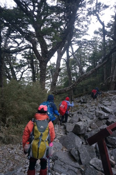 難忘的武陵四秀之品田山.池有山.桃山854395