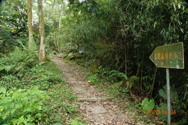 嘉義 番路 烏心石山1665779