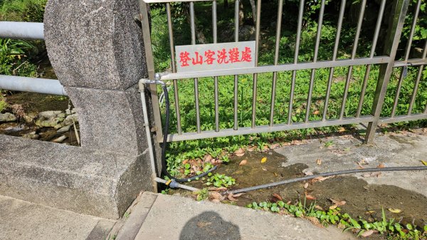 宜蘭小百岳鵲子山O走3083259