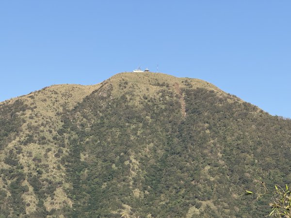 2025/01/20 金瓜石 基隆山 茶壺山2894017