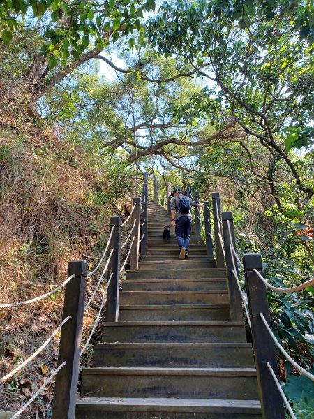 【台中大肚】綠蔭成徑。 大肚萬里長城步道O繞2790777