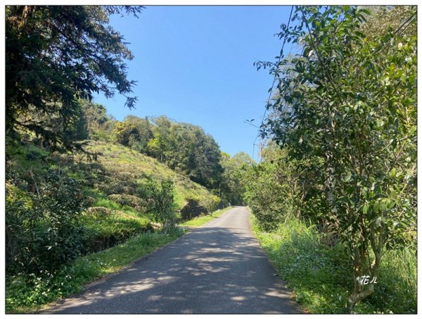 貓囒山 好多基石 (日月潭)2834888