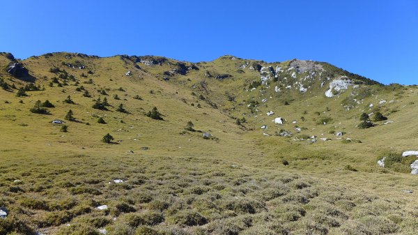 大好天氣的奇萊東稜488936