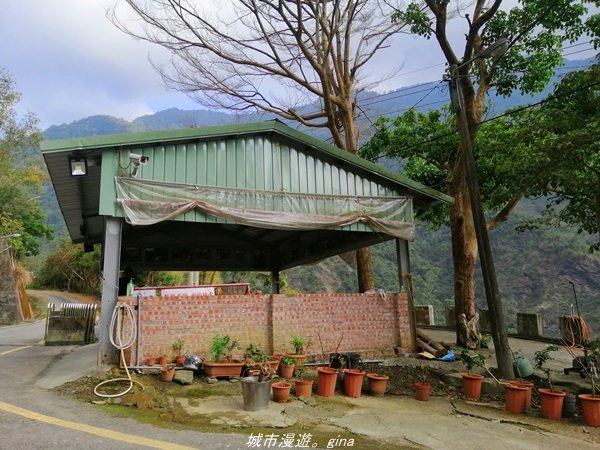 【高雄。茂林】清悠原始山徑。 小百岳集起來。 編號71小百岳-鳴海山 (扇平園區)1653722