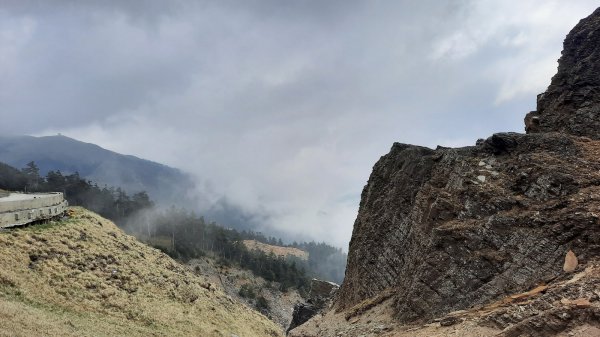 《南投》高山杜鵑盛宴｜哈哈山、石門山北峰202104181353277